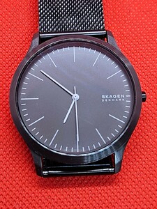 稼働品 SKAGEN スカーゲン メンズ腕時計 クオーツ D0674