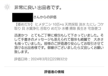 【倭めだか】 ヒメタニシ 10匹+α 天然採取 淡水 たにし コケ取り 貝 水質浄化 苔取り めだか 水槽 掃除 長生き_画像4