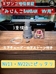 【倭めだか】 “みじんこBANBAN NV用” タイリクミジンコ タマミジンコ オオミジンコ 培養 装置 エアリフト式 NV13 NV22 メダカ 稚魚 生餌