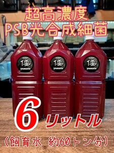 【倭めだか】 ６リットル 超高濃度 PSB 光合成細菌 6L メダカ金魚ベタゾウリムシ タマミジンコ オオミジンコ タイリクミジンコ 等のエサに