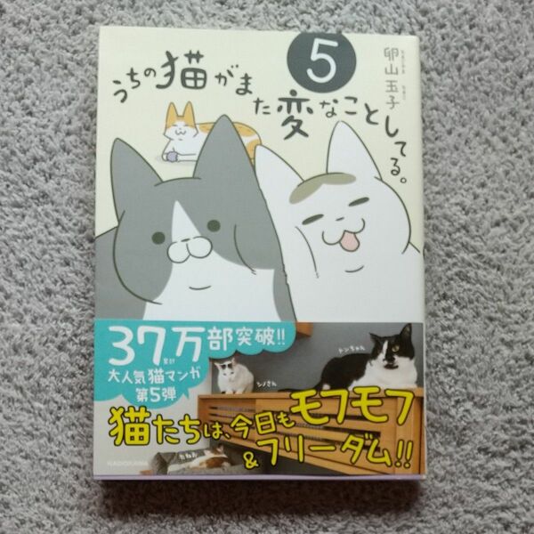 うちの猫がまた変なことしてる。　５ （メディアファクトリーのコミックエッセイ） 卵山玉子／著