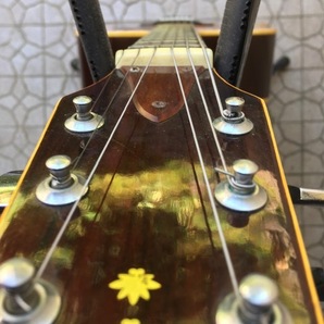 中古 TAKEHARU GUITAR ジャパンビンテージ 1976年 WT-150 タケハルギター 鈴木バイオリン ウエスタン ドレッドノート の画像5