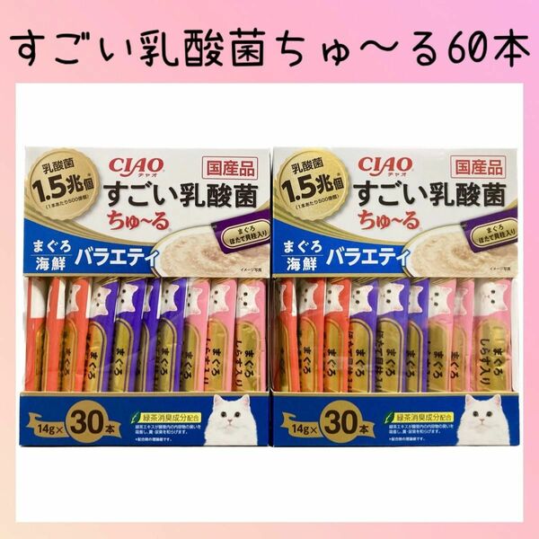 26 いなば チャオ すごい乳酸菌 ちゅーる まぐろ海鮮バラエティ 60本 ciaoちゅ〜る チャオちゅーる キャットフード 猫