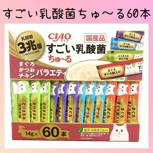 30 猫おやつ いなば チャオ すごい乳酸菌 ちゅーる まぐろ・かつお・チキン 60本 ciaoちゅ〜る チャオちゅーる 猫