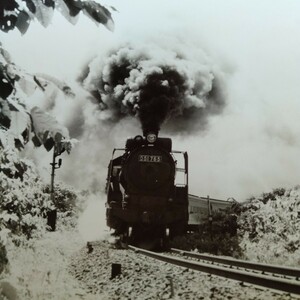 ネ212 SL D51 C57 29625 蒸気機関車 白黒 写真 撮り鉄 カメラマニア秘蔵品 蔵出し コレクション 6枚まとめて