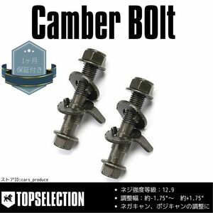 シルフィ TB17 2WD フロント用 キャンバーボルト M14 (14mm) 調整幅 ±1.75° 2本セット 強度12.9 偏心ボルト