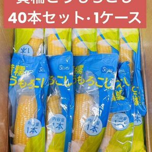 もちもち黄糯玉米 黄糯とうもろこし 真空パック 黄玉米 黏玉米 トウモロコシ 40本（1ケース）の画像1