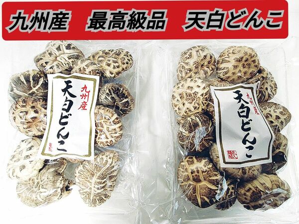 最高級品「天白どんこ」「花どんこ」九州産　原木椎茸　希少　幻の冬菇