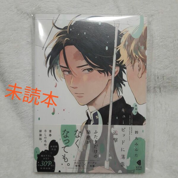 キューピッドに落雷 追撃 新装版 鈴丸みんた 未読品