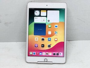 Apple A2133 iPad mini 第5世代 64GB Wi-Fiモデル■1週間保証