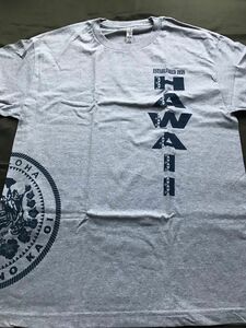 HAWAIIハワイ　ハワイ州デザイン　Tシャツ　US L