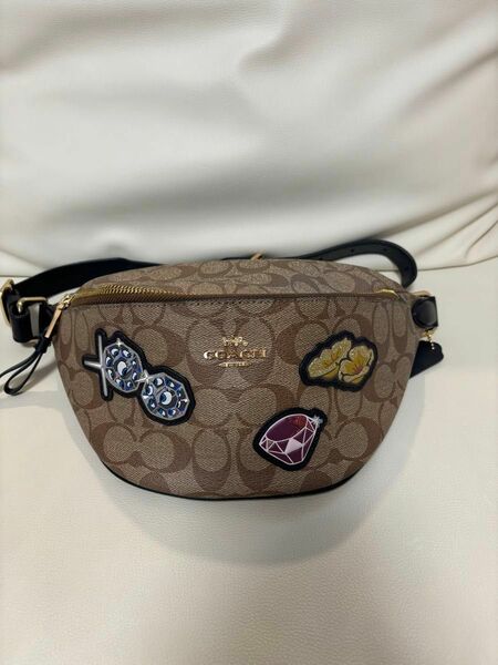 COACH コーチ　Disney白雪姫　ウエストポーチ　ボディバッグ