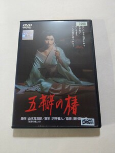 DVD【五瓣の椿】レンタル落ち キズ大・ジャケット傷み 野村芳太郎(監督) 山本周五郎(原作) 岩下志麻 加藤剛 早川保 左幸子 西村晃 小沢昭一