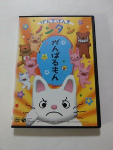 DVD【げんきげんきノンタン がんばるもん】レンタル落ち キズ大 ヤケ有 齋藤彩夏 くまいもとこ 瀧本富士子 小桜エツ子 横山智佐 鈴木まひる