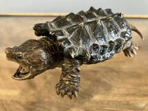 ワニガメ alligator snapping turtle フィギュア カメ　亀 バンダイ いきもの大図鑑_画像1