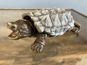 ワニガメ alligator snapping turtle フィギュア BANDAI バンダイ いきもの大図鑑 かめ 亀 リペイント White