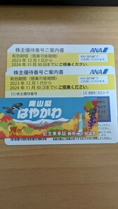 全日空　ANA 株主優待券　2枚　2024/11/30まで　普通郵便送料無料