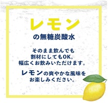 【送料込み】伊藤園 ラベルレス 強炭酸水 レモン 500ml × 24本 シリカ含有 消費期限24年10月_画像4