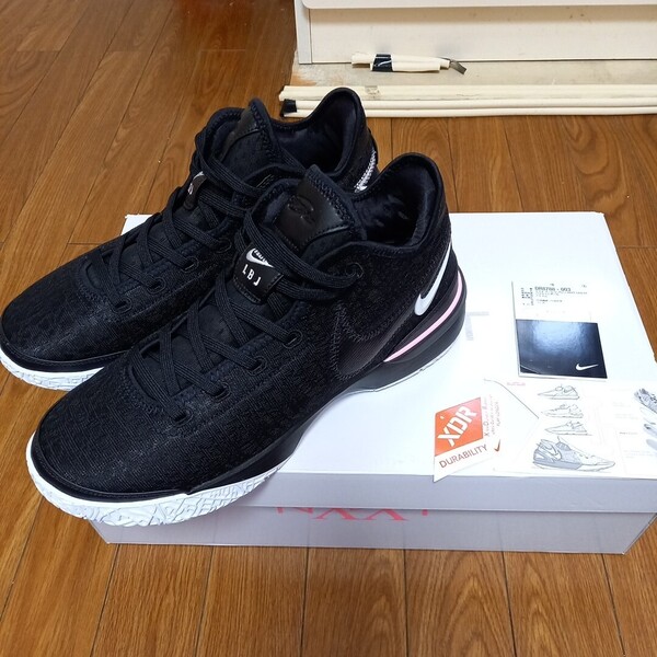 28cm NIKE ZOOM LEBRON NXXT GEN EP ナイキ レブロン ネクスト ジェネレーション USED