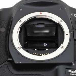 ◆人気モデル◆ キャノン Canon EOS-1D Mark II ボディ EFマウント デジタルカメラ デジタル一眼レフ #4060の画像10