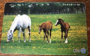 * unused horse. parent ... white horse telephone card! telephone card 50