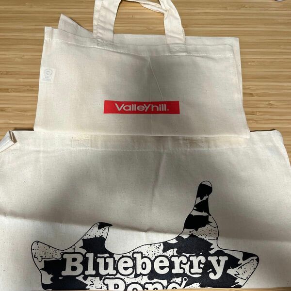 Valleyhill blueberry Pond 非売品バック　キープキャスト2024 フィッシングショー大阪