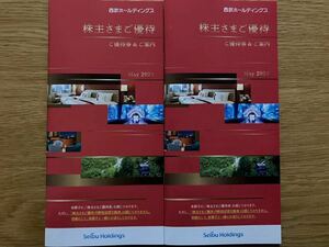 西武ホールディングス　西武鉄道 株主優待券 １,０００株以上 2冊セット