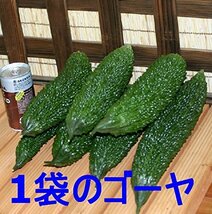 ★送料無料5★【石臼シリーズ】　鹿児島県産ゴーヤを石臼で粉（パウダー）にしました 　100ｇ 無添加_画像3