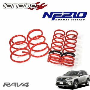 tanabe タナベ ダウンサス サステック NF210 1台分セット RAV4 AXAH54 H31.4～ A25A-FXS 4WD 2500 HV ハイブリッドX