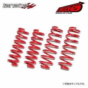 tanabe タナベ サステック DF210 ダウンサス 1台分 タント LA600S H25.10～R1.7 KF NA FF