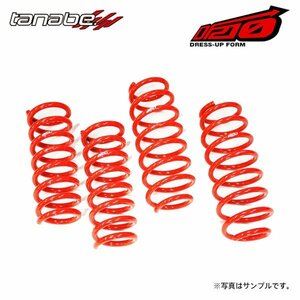 tanabe タナベ サステック DF210 ダウンサス 1台分 クラウン GRS200 H20.2～H22.1 4GR-FSE NA FR