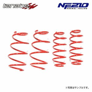 tanabe タナベ サステック NF210 ダウンサス 1台分 CX-3 DK8FW H30.5～R4.4 S8-DPTS DTB FF