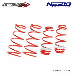 tanabe タナベ サステック NF210 ダウンサス 1台分 N-BOXカスタム JF4 H29.9～R5.10 S07B TB 4WD