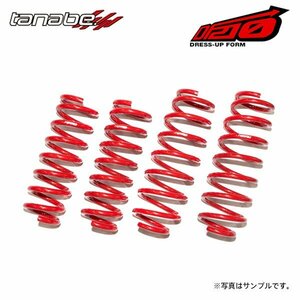 tanabe タナベ サステック DF210 ダウンサス 1台分 フーガ Y51 H21.11～H27.2 VQ25HR NA FR