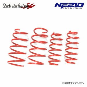 tanabe タナベ サステック NF210 ダウンサス 1台分 エスティマ ACR50W H28.6～R1.10 2AZ-FE NA FF