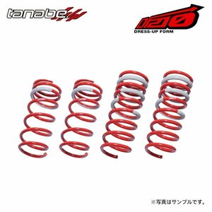 tanabe タナベ サステック DF210 ダウンサス 1台分 ムーヴラテ L550S H16.8～H21.4 EF-VE NA FF