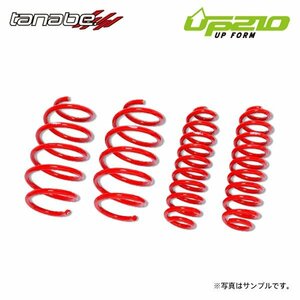 tanabe タナベ ディバイド UP210 アップサス 1台分 ライズ A200A R1.11～R3.11 1KR-VET TB FF