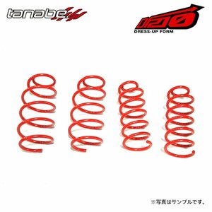 tanabe タナベ サステック DF210 ダウンサス 1台分 フリードスパイクハイブリッド GP3 H23.10～H28.9 LEA NA FF