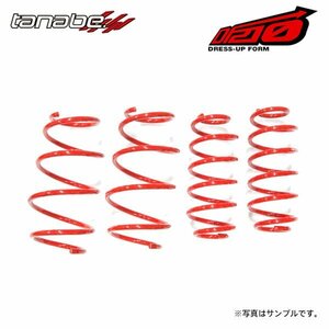 tanabe タナベ サステック DF210 ダウンサス 1台分 ノア ZWR80G H29.7～R4.1 2ZR-FXE NA FF