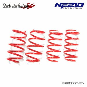 tanabe タナベ サステック NF210 ダウンサス 1台分 マツダ3 ファストバック BP8P R1.5～R5.6 S8-DPTS DTB FF