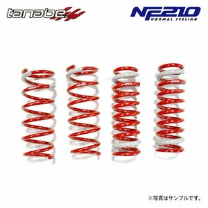 tanabe タナベ サステック NF210 ダウンサス 1台分 レクサス GS350 GRL10 H24.1～ 2GR-FSE NA FR Fスポーツ除く