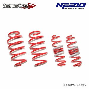 tanabe Tanabe suspension Tec NF210 down suspension for 1 vehicle Demio DJ3FS H26.9~ P3-VPS NA FF 6AT