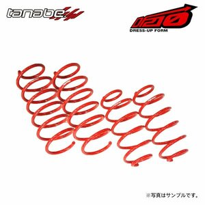 tanabe タナベ サステック DF210 ダウンサス 1台分 フィットハイブリッド GP5 H25.9～ LEB NA FF