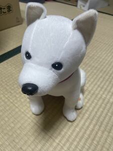 ソフトバンク初代お父さん犬カイくんぬいぐるみ