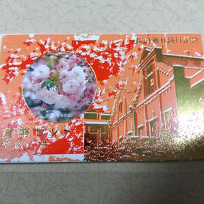 桜の通り抜け記念 貨幣セット 平成７年の画像1