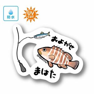 073 泳がせマハタ【防水&UVカット】釣り好きステッカー☆