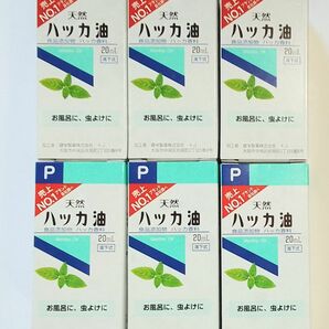 健栄製薬 天然ハッカ油 20ml　６本　計 120ml　賞味期限　２０２７年１１月まで　値引き不可