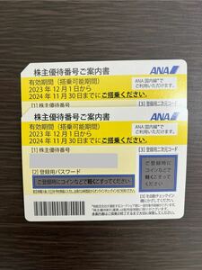 【番号通知】ANA 株主優待券 2枚 有効期間2024年11月30日まで
