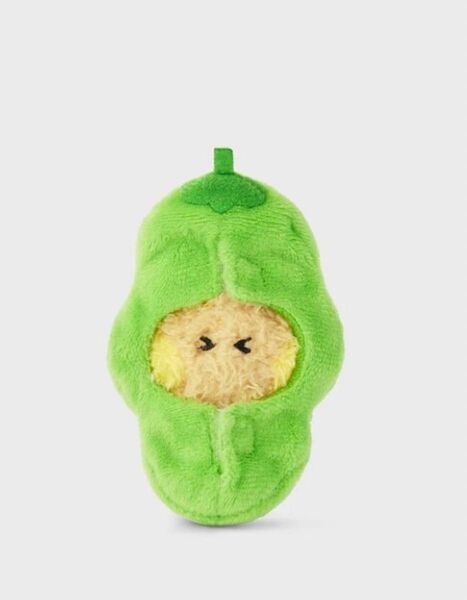 BT21 mini minini VEGGIE ぬいぐるみ SHOOKY