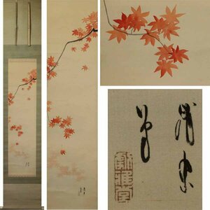 Art hand Auction Gen [Decisión inmediata, envío gratis] Artista de Ukiyo-e Torii Kiyotada IV, Momiji no Yakata / con caja, Cuadro, pintura japonesa, Flores y pájaros, Fauna silvestre